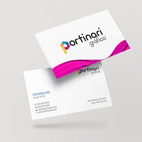 Logo & Business Card Mockup